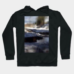 snowy Oregon forest, Fox Creek 4 Hoodie